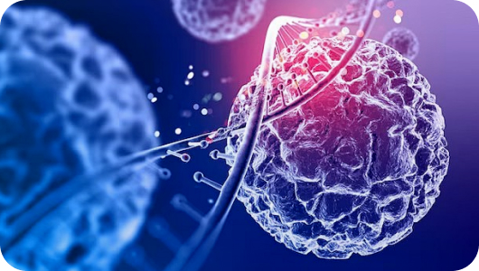 抗衰新风口已至！解锁中医+细胞创新模式，共赴年轻化经济盛宴