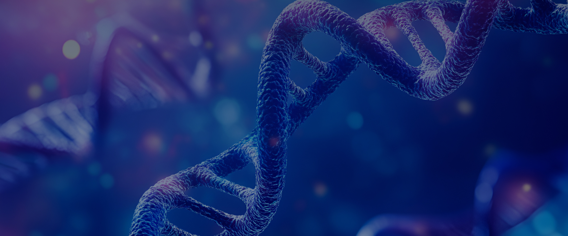 细胞穴位靶向疗法