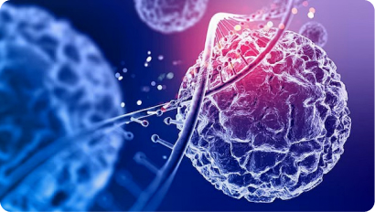 细胞靶向免疫疗法