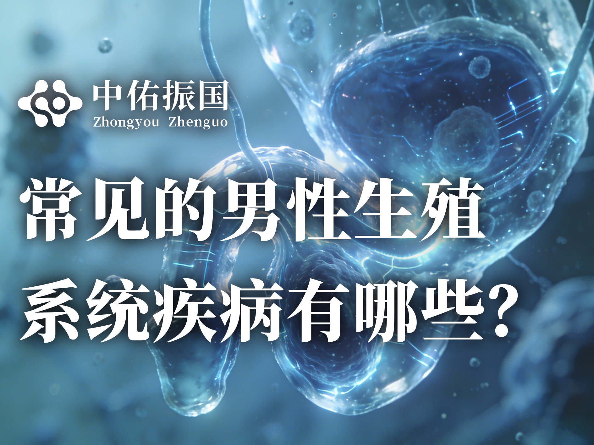 常见的男性生殖系统疾病有哪些？