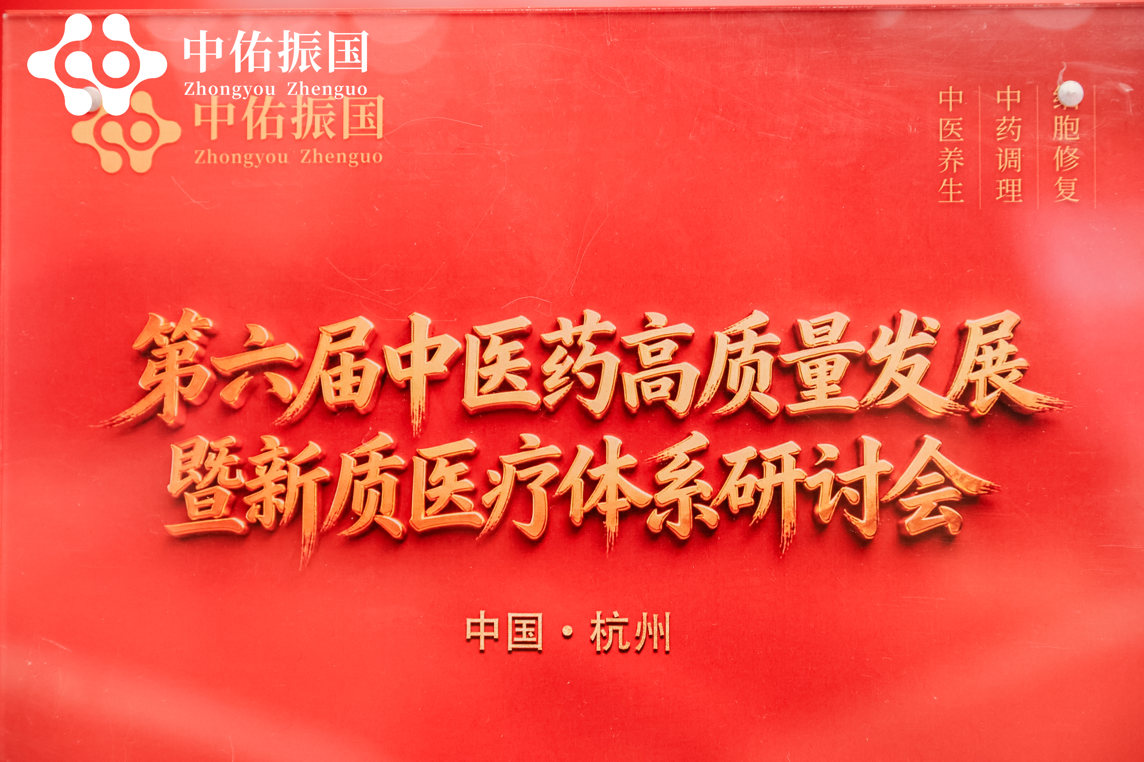 中佑振国集团召开“第六届中医药高质量发展暨新质医疗体系研讨会”