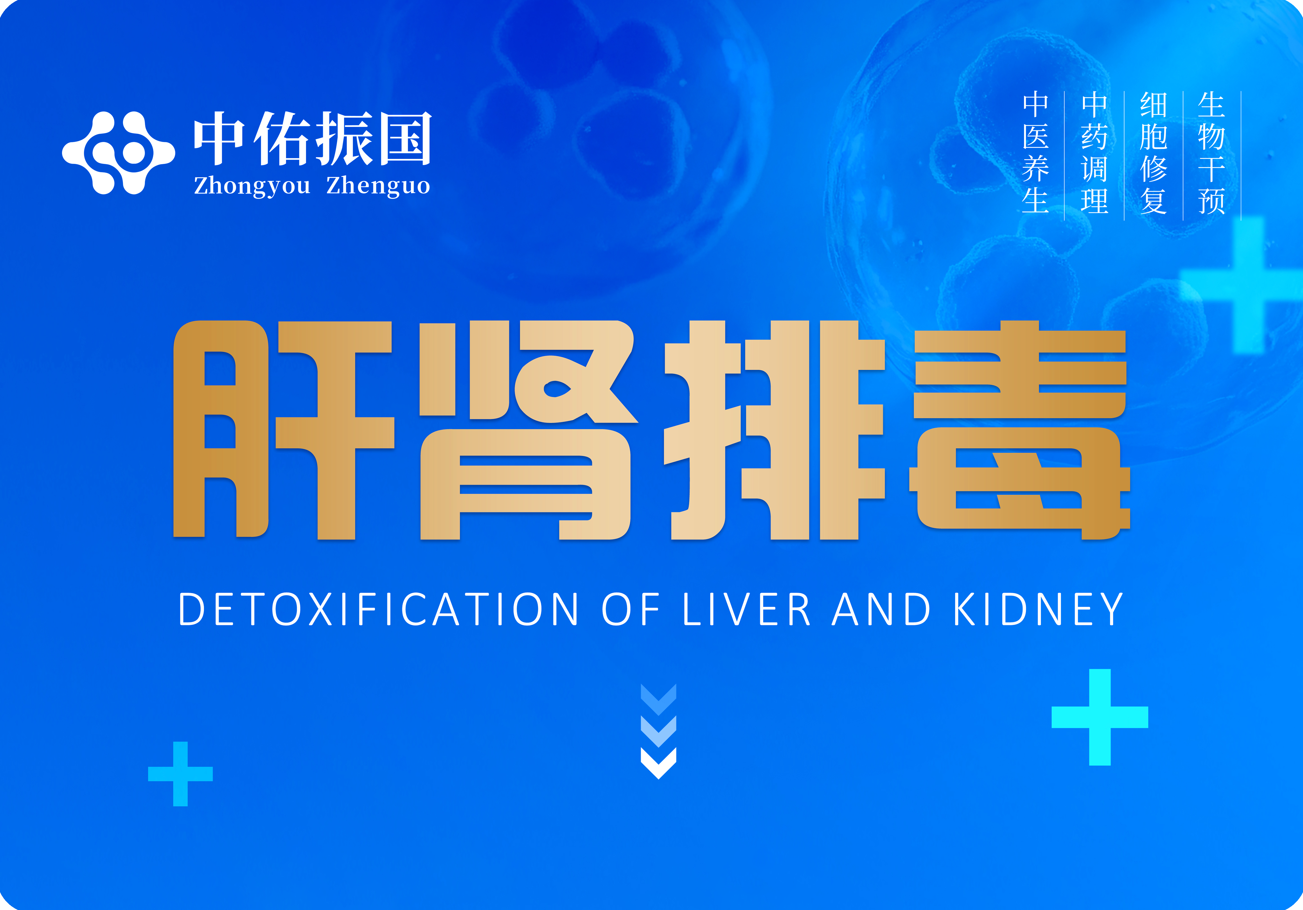 肝肾排毒