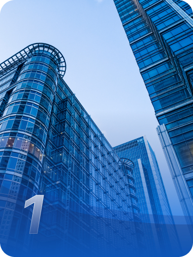 成立100个直营子公司