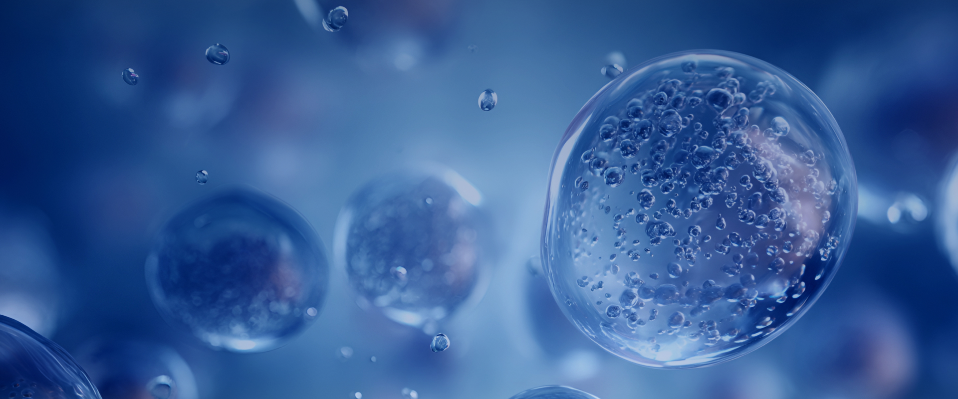 细胞靶向免疫疗法