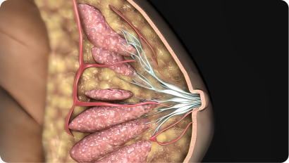 乳腺结节4A级消失、甲状腺左叶钙化消失、右肾错构瘤消失