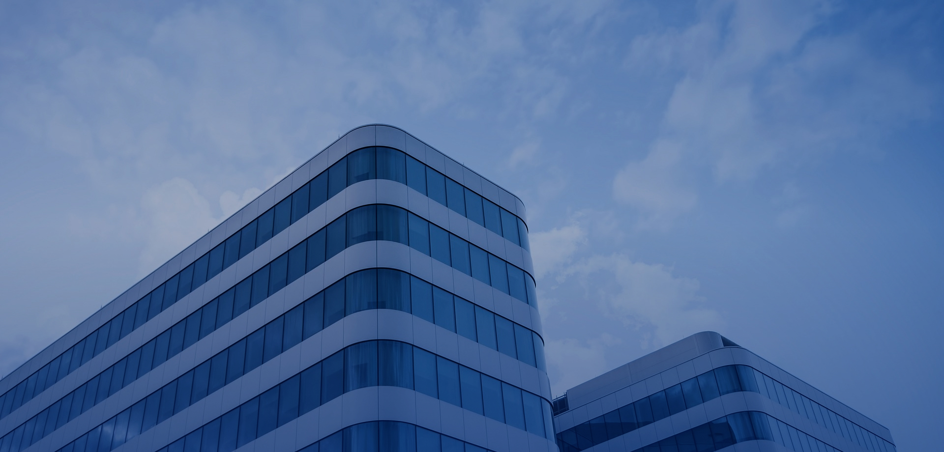 成立100个直营子公司